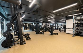 a large fitness room with weights and other exercise equipment